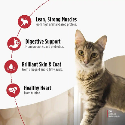 Nulo Freestyle Dry Cat Food Indoor - Duck & Cod, High Protein Grain-Free Dry Cat Food, Natural Kibble with Probiotics and Omegas Fatty Acids, 4Lb Bag3