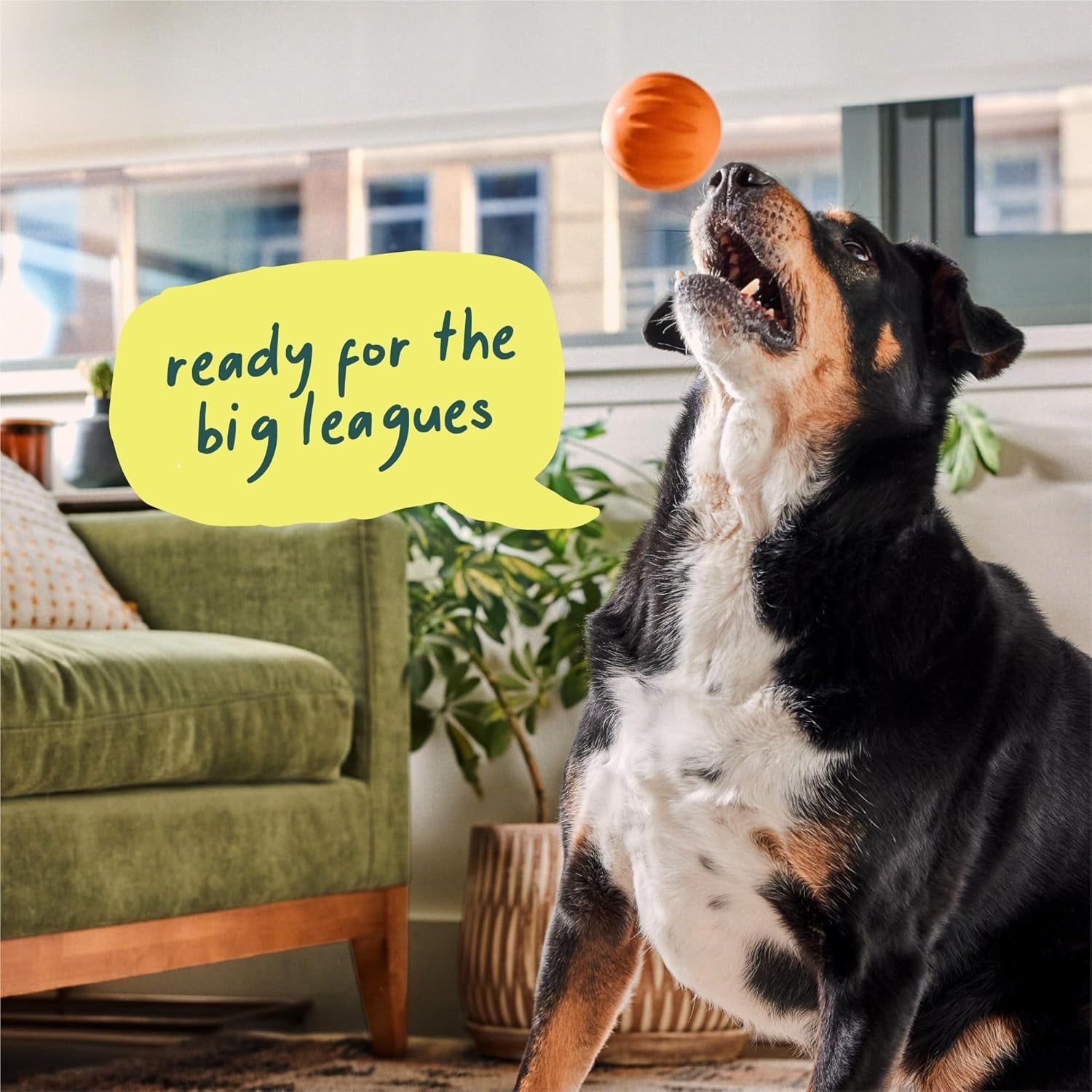 woof-flyball-fetch-ball-dog-treat-dispenser-toy-3-pack-2-in-1-fetch-ball-fits-standard-ball-launchers-treat-dispenser-durable-rubber-dishwasher-safe-puzzle-enrichment
