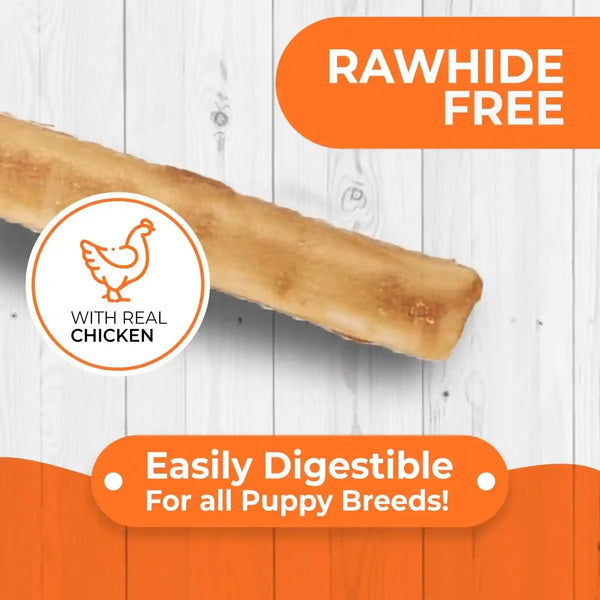 Canine Naturals Rawhide Free Puppy Chews, Chicken and Rice Recipe, 10 Count | 100% Rawhide Free, Made with USA Chicken, All-Natural, Easily Digestible, 5 in Sticks, Perfect for Teething Puppies2