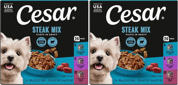 Cesar Filets in Gravy Wet Dog Food, Steak Mix Variety, 3.5 Oz, 24 Count | Filet Mignon, New York Strip & Prime Rib, Real Meat, Slow-Cooked, No Fillers/Added Sugar/Artificial Flavors, Easy Peel Trays15