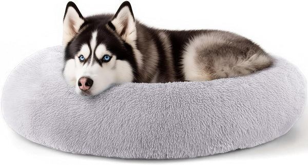 Hoewina Dog & Cat Bed for Indoor Cats, 20In Calming Donut Bed for Puppy and Kitten, Washable round Fluffy Pet Bed for Small Medium Dogs and Cats (Light Grey)36