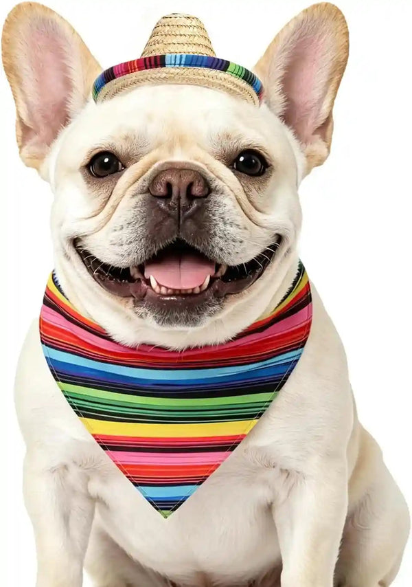 PUPTECK Mexican Day of the Dead Dog Bandana with Pet Sombrero Hat Colorful | Pet Halloween Oufits Costumes Decorations Supplies for Small Medium Large Dogs Boy Girl Gifts1