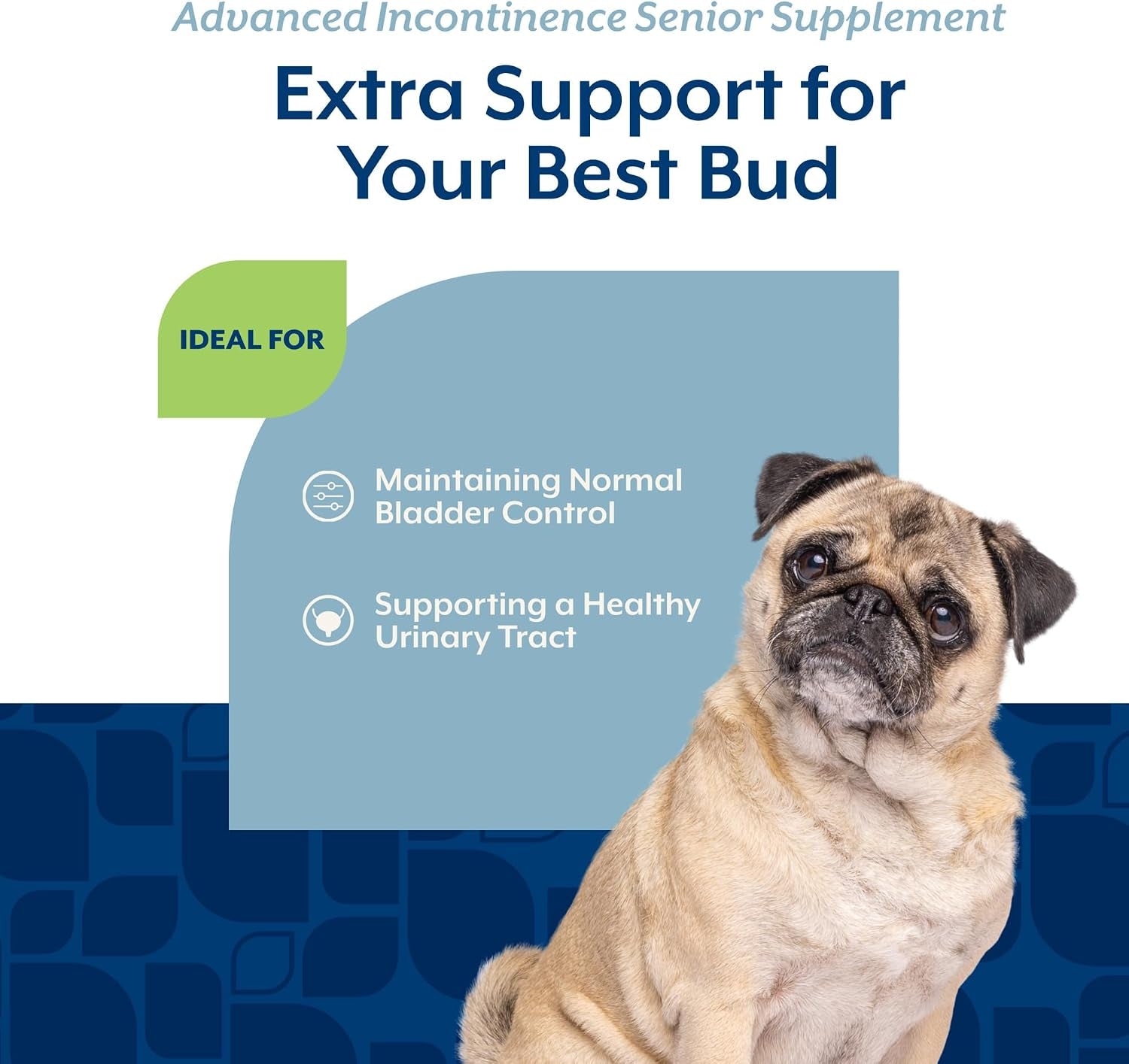 naturvet-senior-advanced-incontinence-dog-supplement-helps-support-dog-s-bladder-control-normal-urination-includes-synergistic-blend-of-botanicals-120-ct-soft-chews
