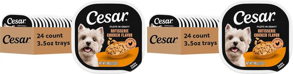 Cesar Filets in Gravy Wet Dog Food, Filet Mignon Flavor, 3.5 Oz, 24 Count | Real Beef, Easy to Digest, No Fillers, No Added Sugar, No Artificial Flavors, Slow-Cooked Tender Texture, Easy Peel Trays13