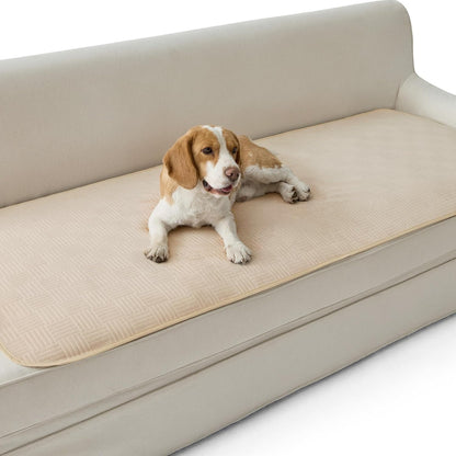 Bedsure Waterproof Couch Cover for Dogs Washable - Waterproof Blanket for Large Dogs Couch Sofa Bed Cozy, Lightweight Furniture Protector for Pet Cat Quick Drying, Ash Grey, 52X82In18