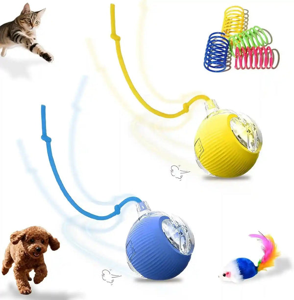 2-Pack USB Rechargeable Smart Cat Toy Ball, 360° Rotation Automatic Moving Chase Toy, Obstacle Avoidance Interactive Play with 4 Spiral Springs, Enrichment Toys for Indoor Cats, Puppies & Small Dogs16