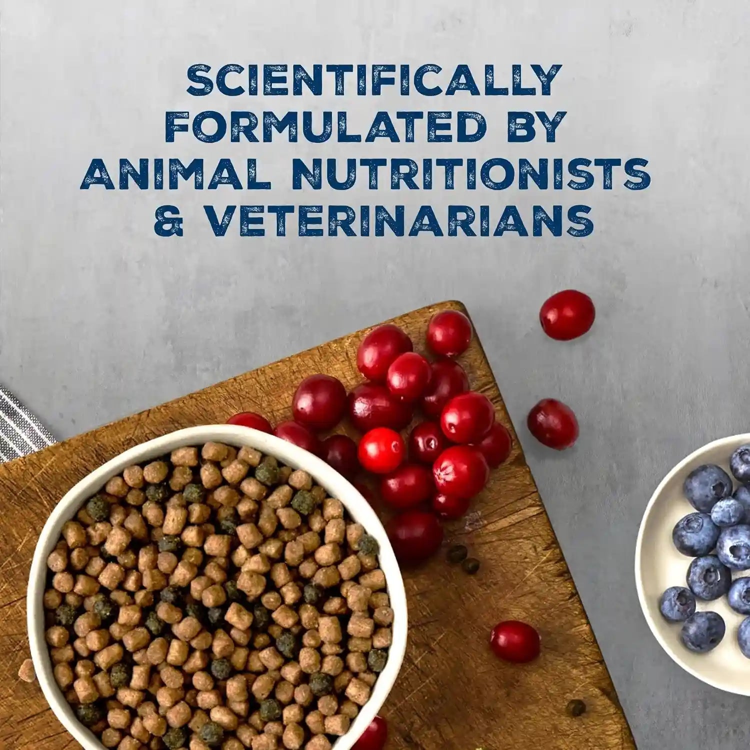blue-buffalo-wilderness-with-chicken-natural-high-protein-grain-free-dry-cat-food-for-kittens-real-chicken-first-antioxidant-rich-lifesource-bits-support-immunity-dha-ara-for-development-5-lbs