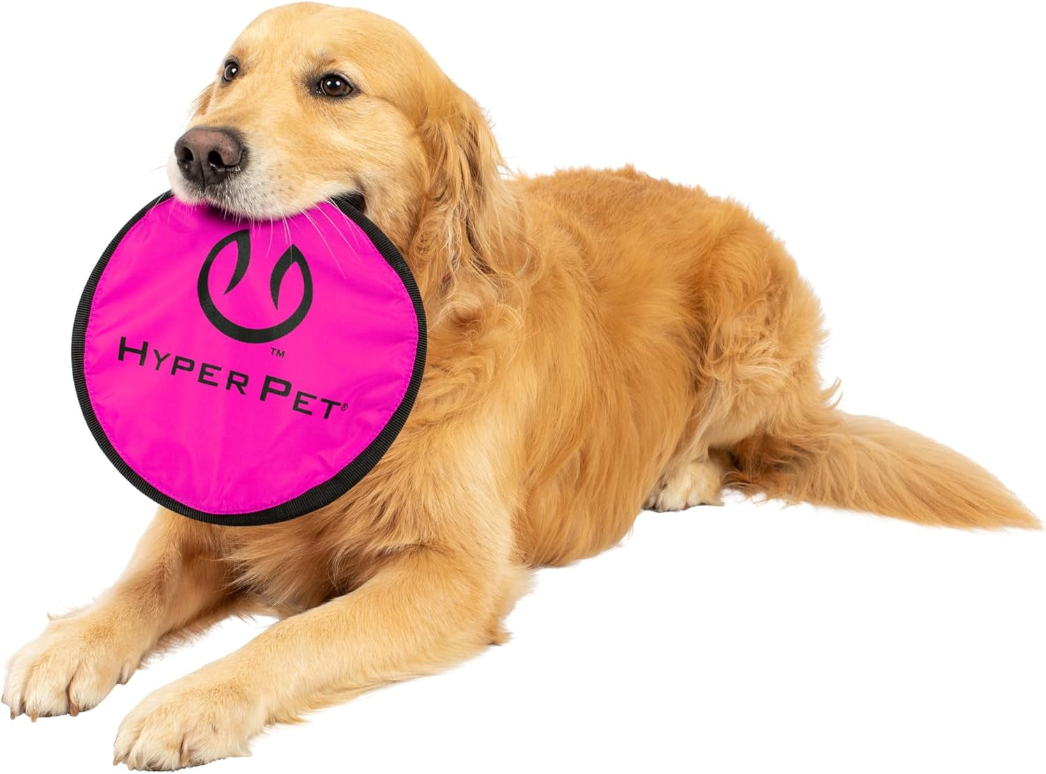 hyper-pet-flippy-flopper-flying-disc-soft-dog-toy-9-inch-floats-2-pack-safe-on-teeth-for-all-breeds-stays-on-the-water-surface-for-pool-and-lake-fetch-games-colors-may-vary-with-every-order