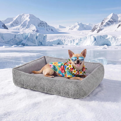 Donut Pet Bed for Indoor Cats and Small Dogs, Self-Heating Dog Bed with Non-Slip Bottom, Winter Comfort Dog Beds for Puppies, Washable & Portable Egg Tart Shape (S) Small Cat Bed Self Warming20