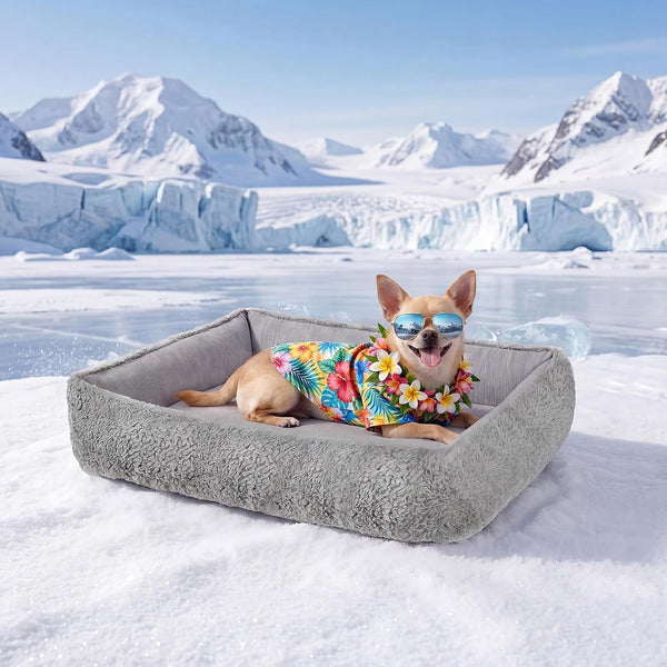 Donut Pet Bed for Indoor Cats and Small Dogs, Self-Heating Dog Bed with Non-Slip Bottom, Winter Comfort Dog Beds for Puppies, Washable & Portable Egg Tart Shape (S) Small Cat Bed Self Warming20