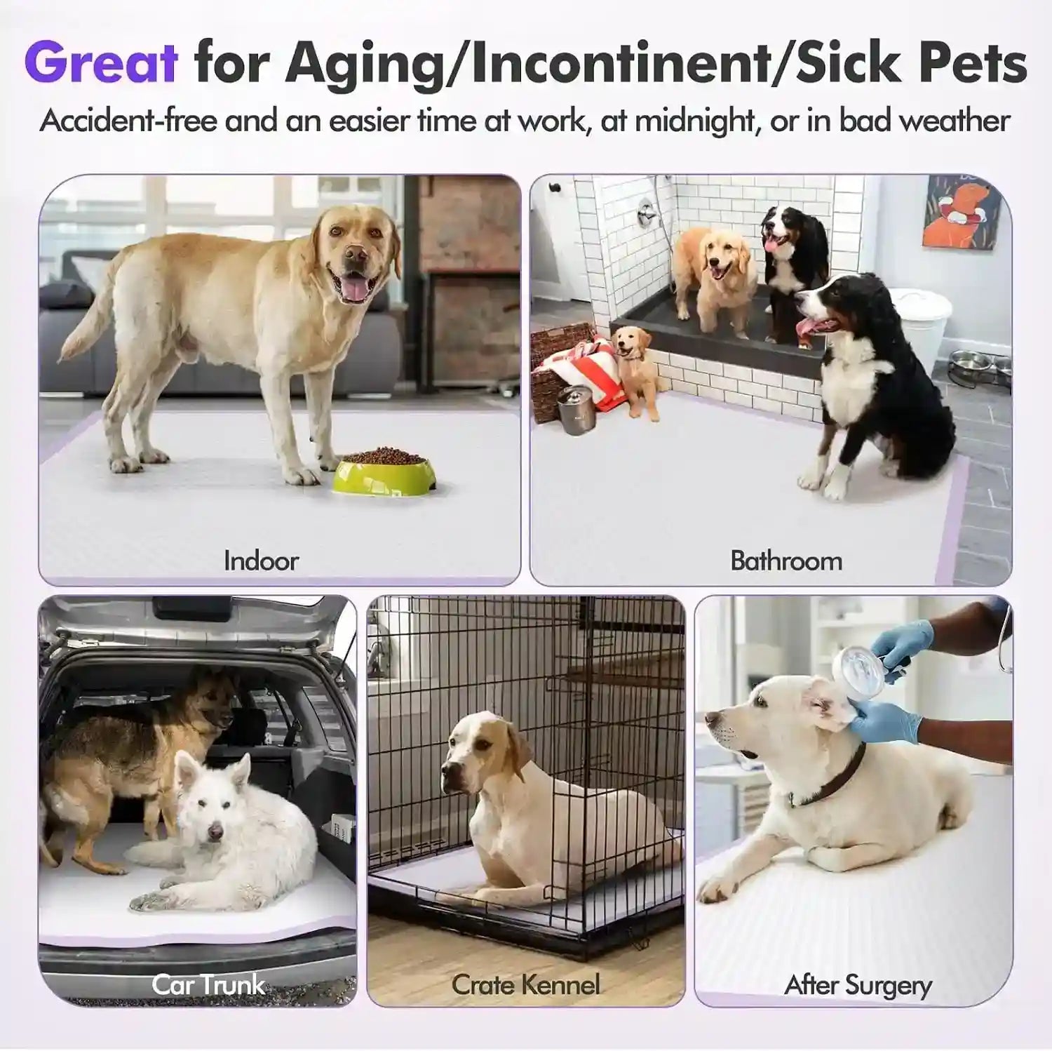 dog-potty-pads-for-indoor-bathroom-car-trunk-crate-and-post-surgery-use-ideal-for-aging-incontinent-or-sick-pets