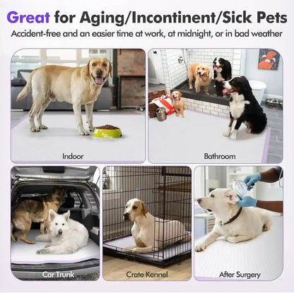 Dog potty pads for indoor, bathroom, car trunk, crate, and post-surgery use — ideal for aging, incontinent, or sick pets6
