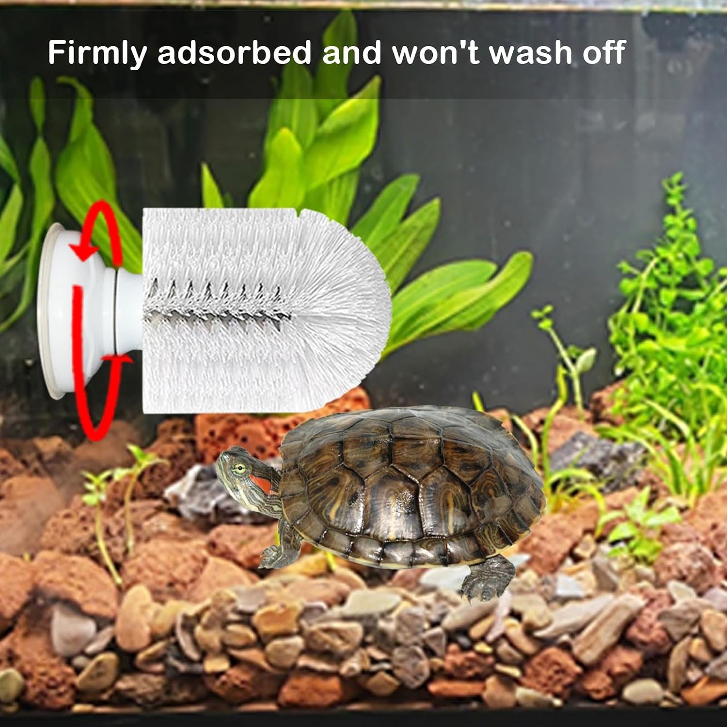 turtle-brush-with-suction-cup-screw-the-upgraded-turtle-scrub-brush-tightly-on-the-glass-it-is-not-easy-to-fall-off-and-slide-helping-the-turtle-remove-dirt-on-the-back-and-abdomen