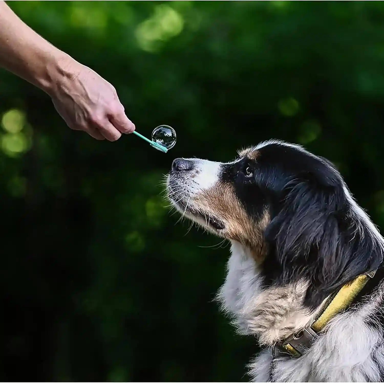 puppy-love-bubbles-peanut-butter-bacon-scented-bubbles-4oz-bottle-2-pack-combo-1-peanut-butter-1-bacon-for-dogs