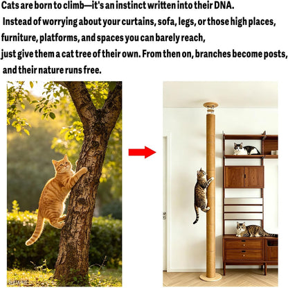 Floor to Ceiling Cat Scratching Post Tree, Adjustable Height 40In-120In Tall PVC Cat Climbing Pole, Sturdy Cat Activity Tower for Indoor Cats to Climb, Scratch & Play3