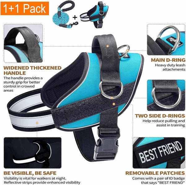 Haapaw Essential Dog Harness, No Pull Pet Vest with 3 Leash Clips, No Choke, Reflective, Adjustable and Padded, for Easy Walking and Training for Medium Dogs(M, Blue)2