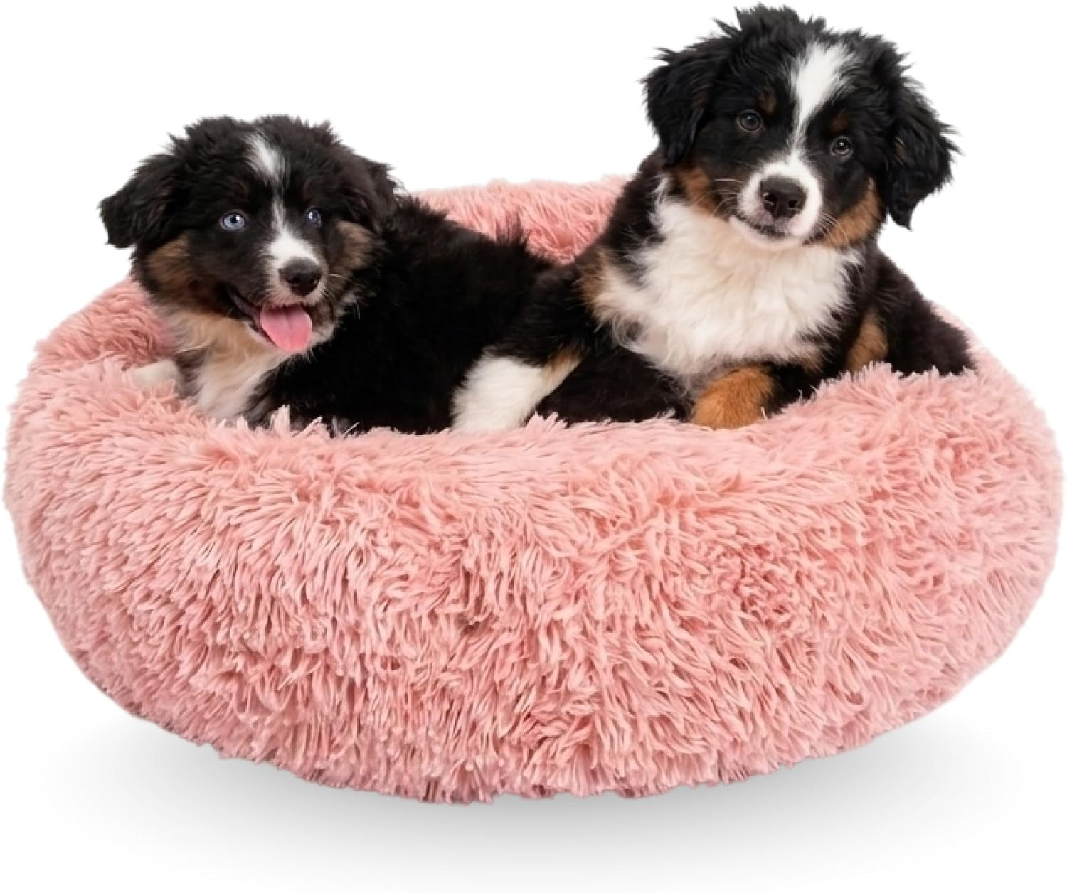 active-pets-premium-medium-donut-dog-bed-fits-up-to-45-lbs-machine-washable-cushion-plush-long-pile-faux-fur-fabric-portable-beige-pet-bed-furniture-for-puppies-adult-canines-cats