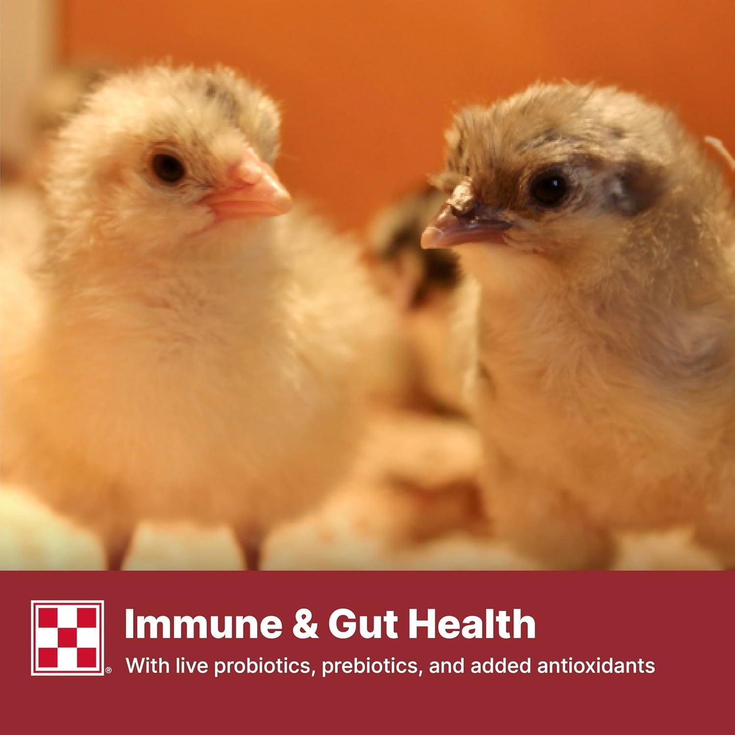 purina-start-grow-nutritionally-complete-medicated-chick-feed-crumbles-25-pound-25-lb-bag