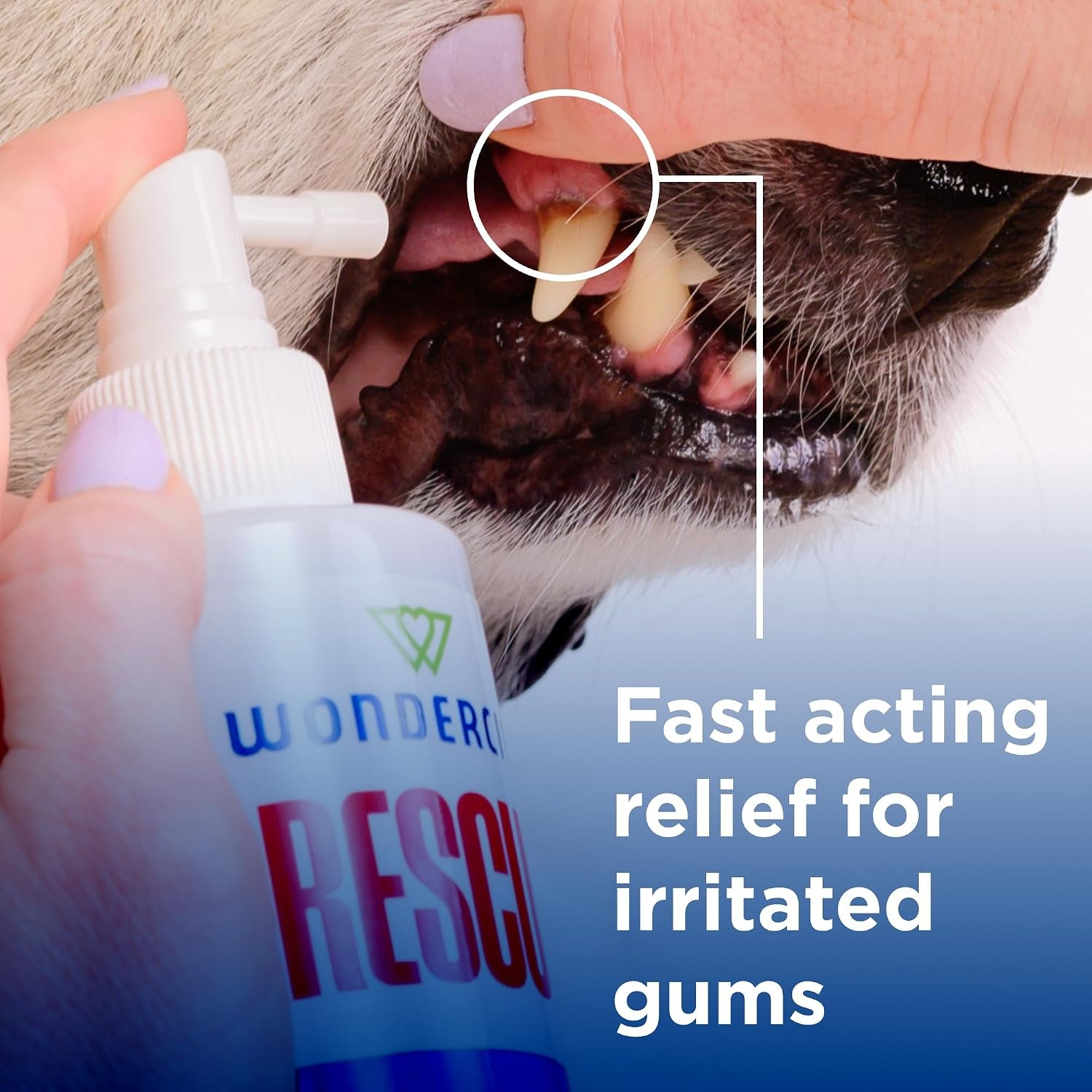 wondercide-rescue-oral-spray-for-dogs-and-cats-8-5-oz-freshens-breath-soothes-gums-alcohol-free-daily-dental-care-with-pure-hypochlorous