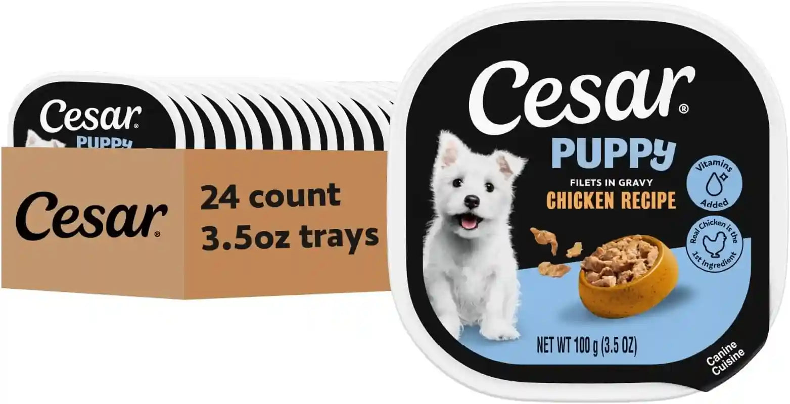 cesar-puppy-classic-loaf-wet-dog-food-chicken-beef-3-5-oz-24-count-real-chicken-1-ingredient-made-in-usa-no-fillers-or-artificial-flavors-essential-nutrients-slow-cooked-easy-peel-trays