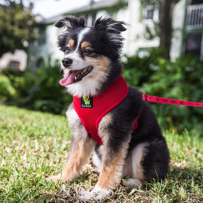 Ecobark Dog Harness, Soft Mesh over the Head Vest Harness, Red, Small | Luxurious Eco Friendly No Pull & No Choke Design, Padded Breathable Body Halter, anti Rub, for Puppy, Toy & Small Breeds7
