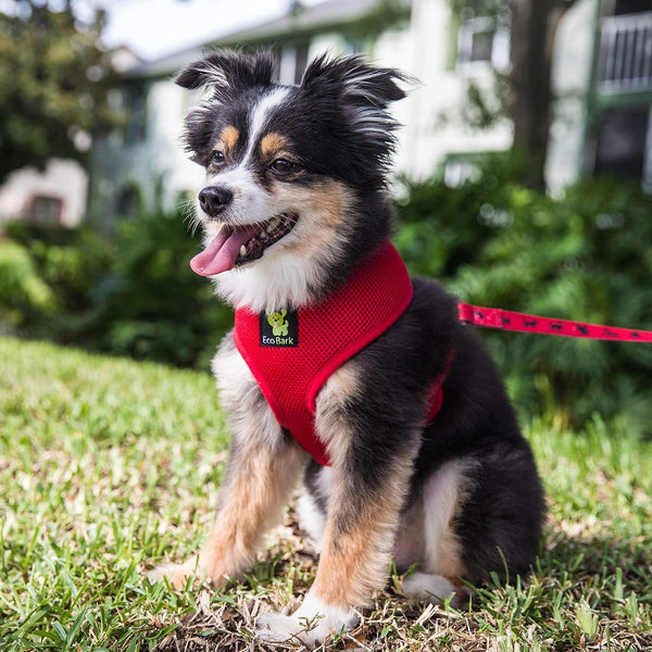 Ecobark Dog Harness, Soft Mesh over the Head Vest Harness, Red, Small | Luxurious Eco Friendly No Pull & No Choke Design, Padded Breathable Body Halter, anti Rub, for Puppy, Toy & Small Breeds7