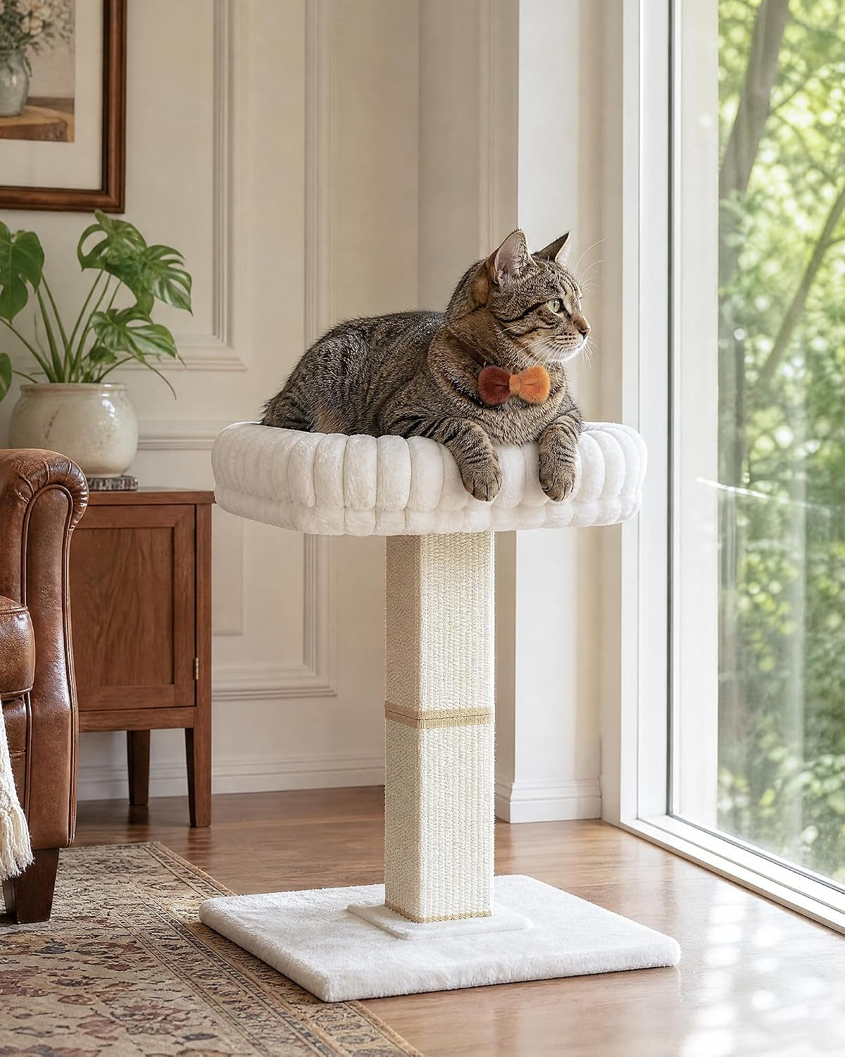 morden-cat-scratching-post-with-top-plush-bed-for-indoor-cats-removable-washable-perch-small-morden-cat-tree-cat-tower-with-scratch-post-natural-sisal-white