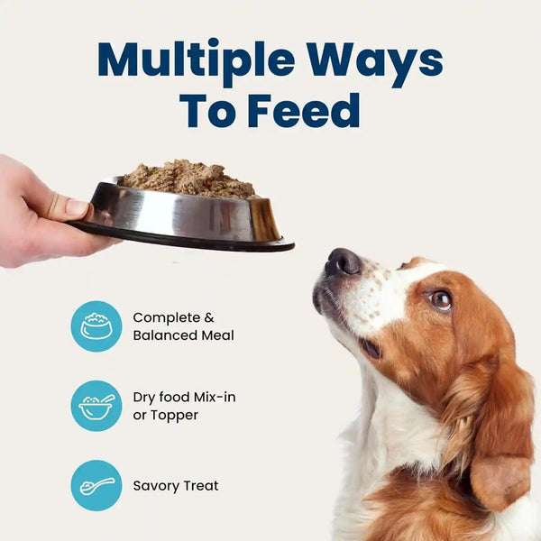 Blue Buffalo Homestyle Recipe Healthy Weight Chicken Dinner with Garden Vegetables Paté Natural Wet Dog Food, Made with Natural Ingredients, Vitamins & Minerals, 12.5-Oz. Can (12 Count)10