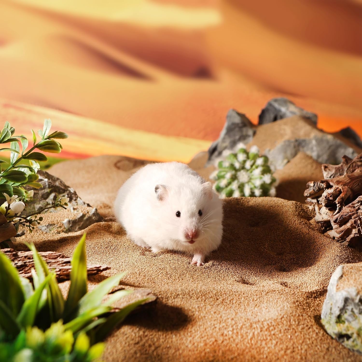 bucatstate-hamster-bath-sand-with-pour-spout-6-6lb-desert-bath-sand-no-dust-potty-litter-calcium-free-sand-for-hamster-chinchillas-gerbil-mice-degu-or-other-small-pets-fine-sand