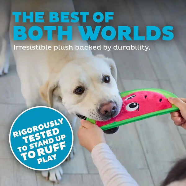 Outward Hound Tough Skinz Durable Squeaky Dog Toy with Two Tough Layers, Watermelon, Red, Medium3