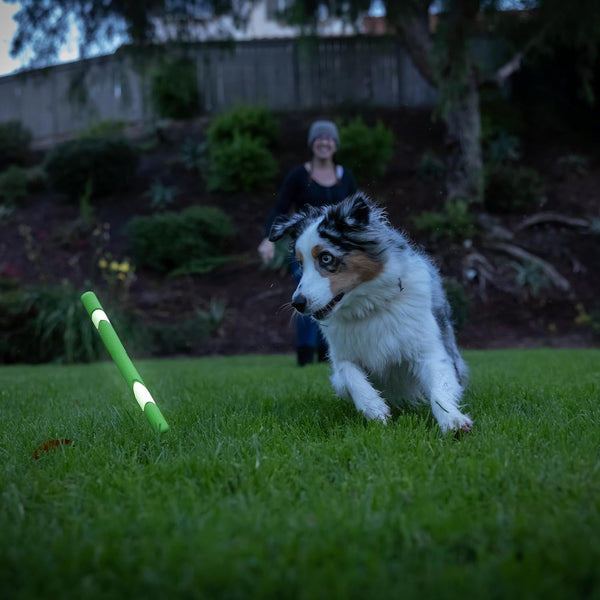 Chuckit! Max Glow Ultra Fetch Stick Outdoor Dog Toy, 12 Inches, for All Breed Sizes6