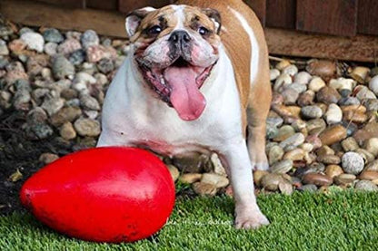 Jolly Pets Jolly Egg Dog Toy, 12 Inches/Large, Red2