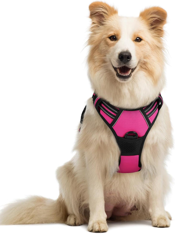 Rabbitgoo Dog Harness, No Pull for Large Dogs with 2 Leash Clips, Pet Vest | No Choke with Handle, Adjustable Soft Padded, Reflective, Easy Control for Walking, Black, Large141
