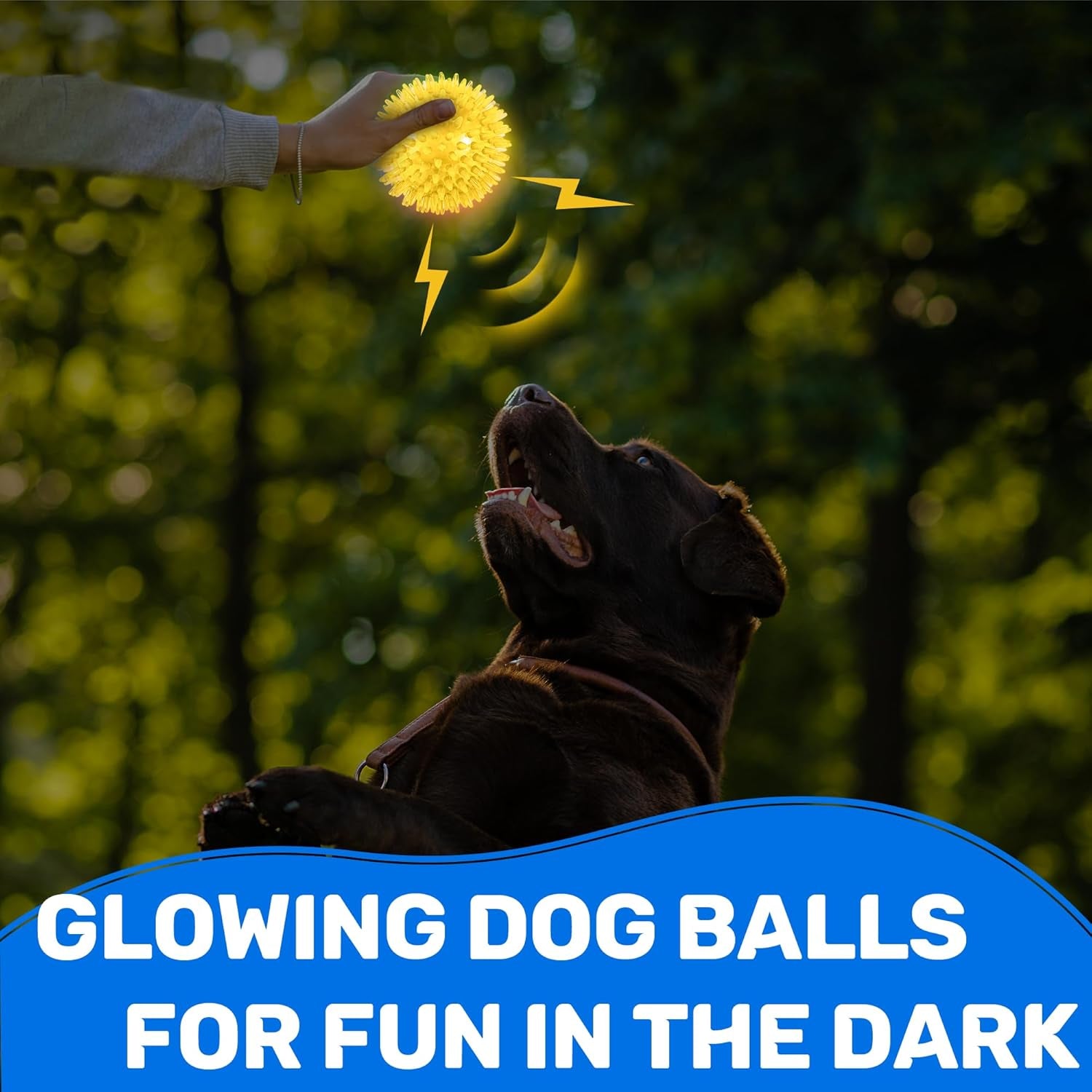 6-pack-2-5-light-up-squeaky-dog-balls-spiky-dog-toy-balls-for-puppy-small-medium-dogs