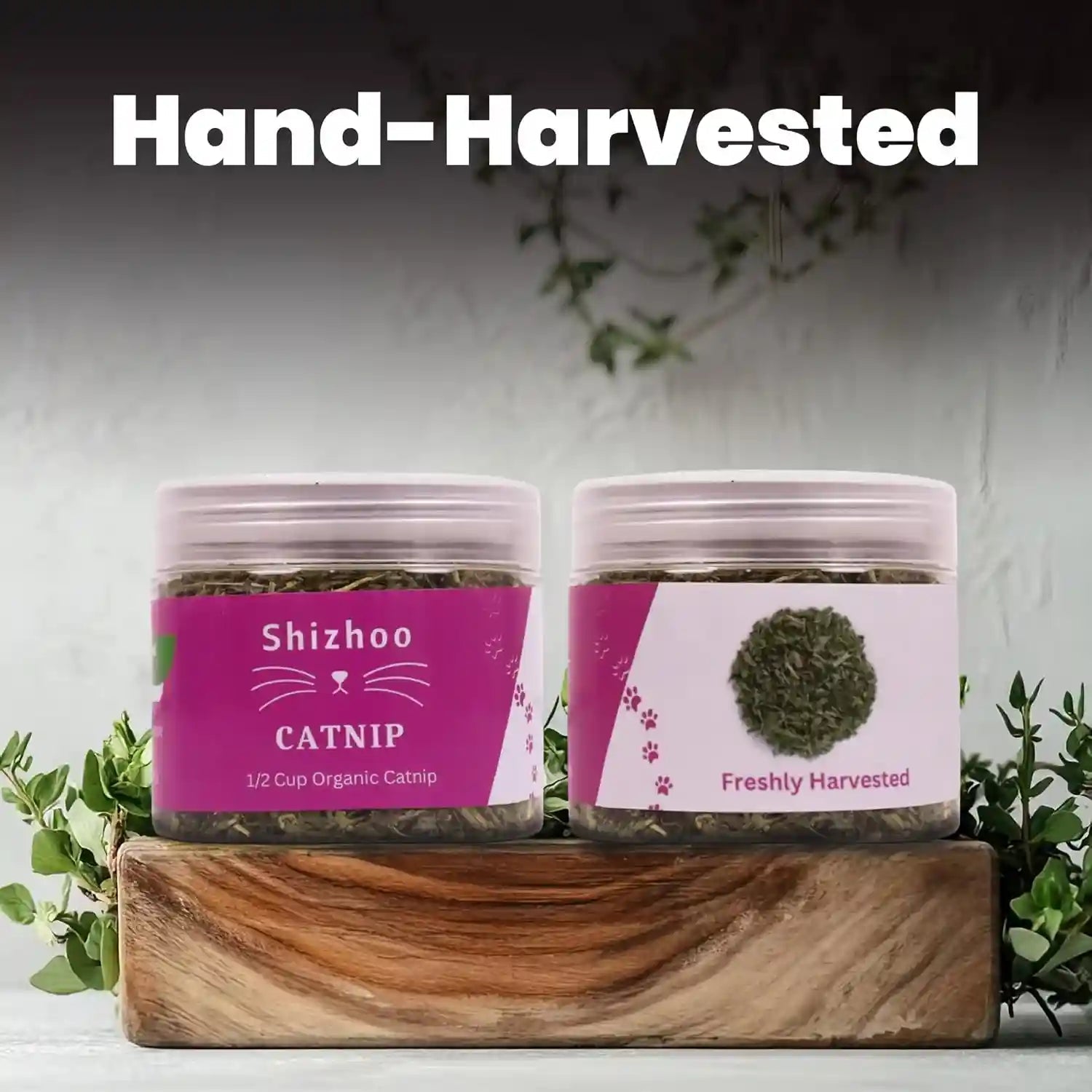 catnip-for-cats-with-leaves-and-flower-seeds-100-natural-and-organic-catnip-premium-cat-nip-for-cats-kittens-used-as-a-snack-or-refillable-catnip-treats-for-cats-1-2-cup