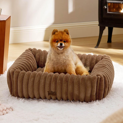 Bedsure Comfyfleece™ Cute Dog Bed for Small Medium Dogs Washable,25In Cream | Furry Puppy Beds,Square Rectangle Orthopedic Corduroy Aesthetic Pet Beds,Removable Zipper Cover,Non-Slip Bottom,Up to 15 Lbs36