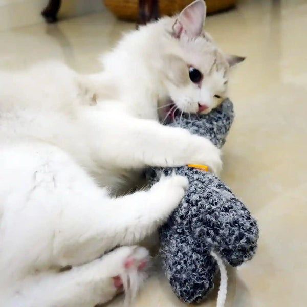 Ttcat 14.6 Inch Large Curly Plush Pillow Cat Kicker Toy with Catnip Silvervine Powder, Soft Stuffed Cat Chew Toy with Tail, Interactive Toy for Indoor Cats and Kittens(Grey).4