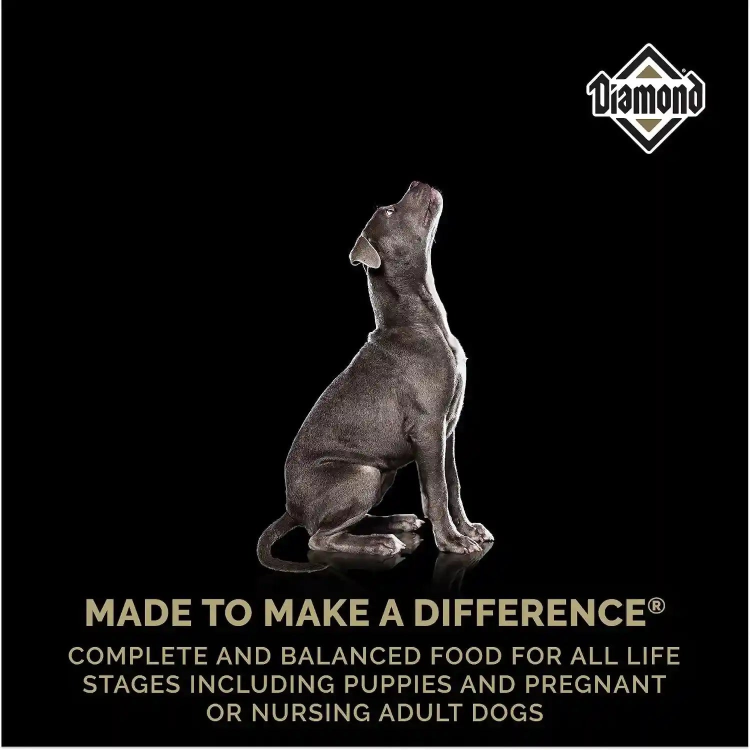 diamond-puppy-high-protein-dry-dog-food-chicken-protein-40lb-puppy-adult-senior-dogs-dha-for-proper-brain-vision-development-guaranteed-probiotics-for-digestive-support