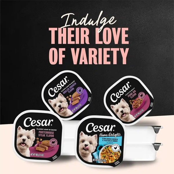 Cesar Loaf & Topper Wet Dog Food, Variety Pack, 3.5 Oz, 24 Count | Real Meat #1 Ingredient, No Fillers or Artificial Flavors, Easy-To-Digest, Slow-Cooked Tender Texture, Easy Peel Trays7