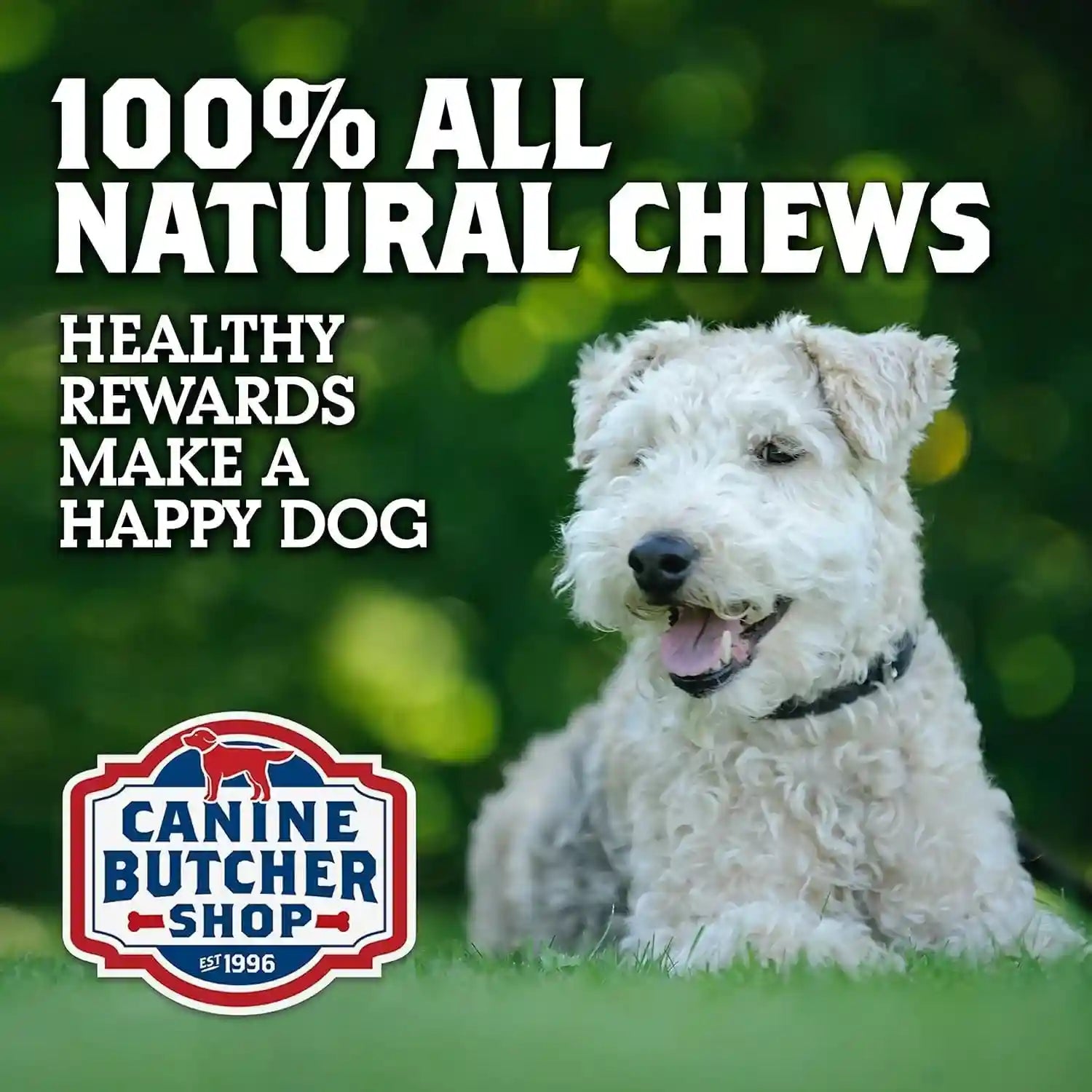 chicken-feet-dog-treats-raised-made-in-usa-30-pack-dehydrated-chicken-feet-all-natural-dog-chews-dog-snacks-crunchy-texture-naturally-dehydrated-rich-in-glucosamine-supports-joint-health-made-in-the-usa