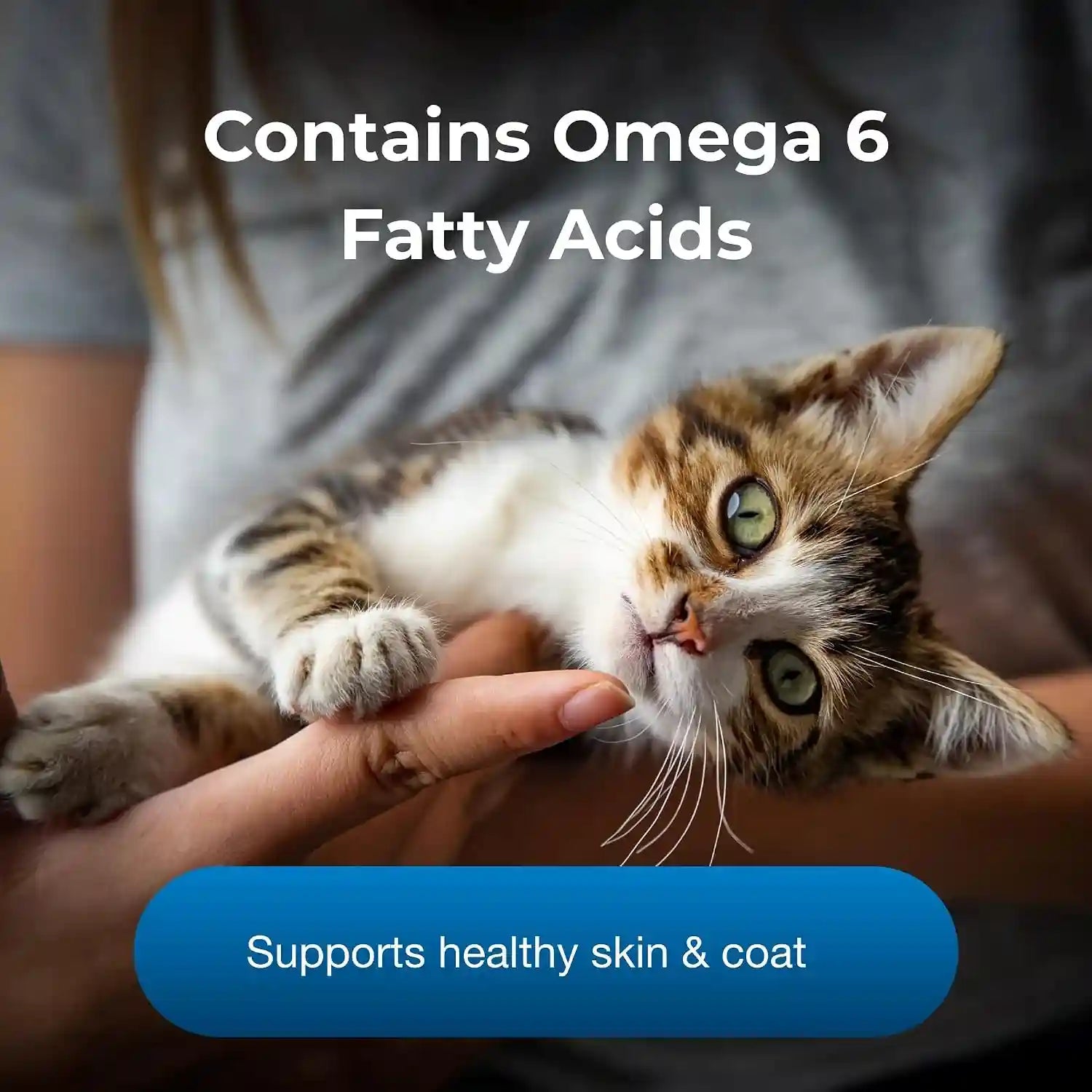 petag-kmr-healthy-development-14-oz-great-tasting-nutritional-supplement-for-cats-and-weaning-kittens