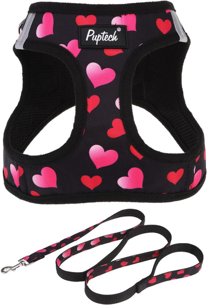 PUPTECK Dog Harness and Leash Set for Small Medium Dogs No Pull Step-In Soft Mesh Puppy Cat Vest Harnesses Reflective at Night, Green S17