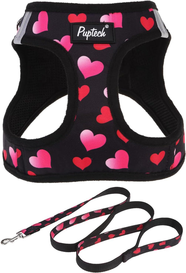 PUPTECK Dog Harness and Leash Set for Small Medium Dogs No Pull Step-In Soft Mesh Puppy Cat Vest Harnesses Reflective at Night, Green S17