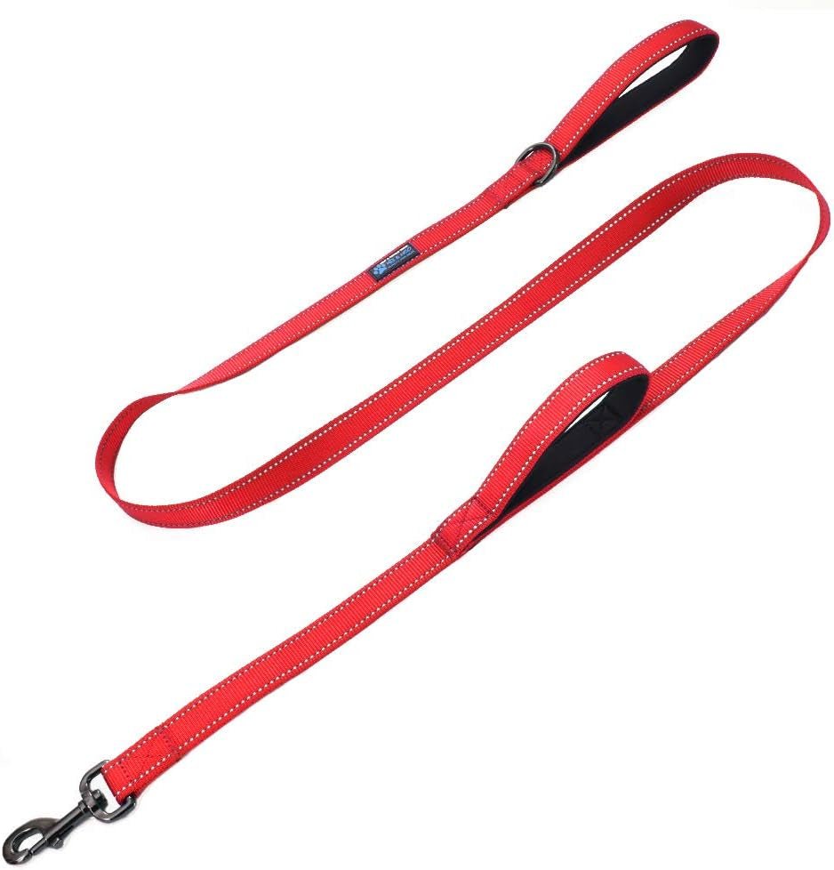 max-and-neo-double-handle-traffic-dog-leash-reflective-donates-to-dog-rescue-black-6-ft