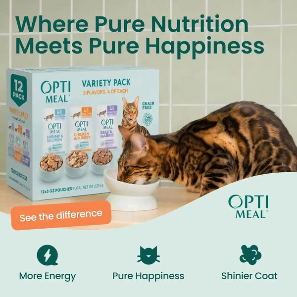 Optimeal Wet Cat Food Variety Pack - Grain Free Tender Morsels, High Protein Premium Nutrition Made with Natural European Ingredients in Savory Gravy, Adult Cat Food Wet Pouches 3Oz Pouch (Pack of 12)4