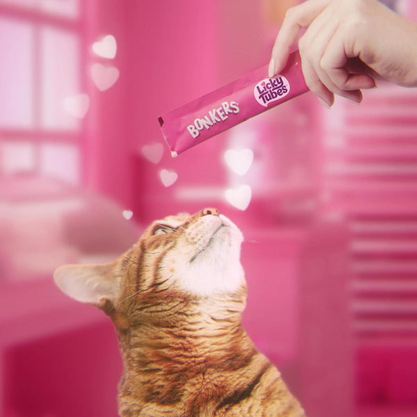 Bonkers Licky Tubes Salmon Flavored Wet Cat Treats, 4 Pieces (Pack of 15)2