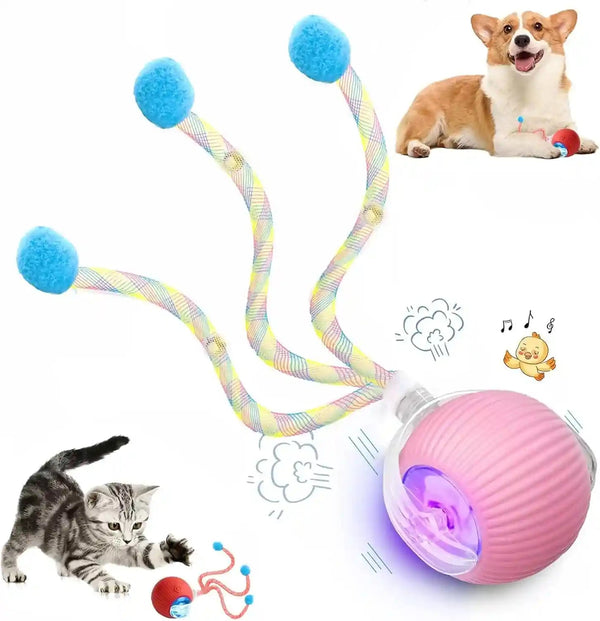 2 Packs Speed 2.0 Tail Interactive Cat Toys for Indoor Cats, Chirping & Motion Activate Cat Toy, Smart Kitten Rolling Ball Moving Ball Toys, Rechargeable Dog Cats Bal L for Enrichment Exercise21