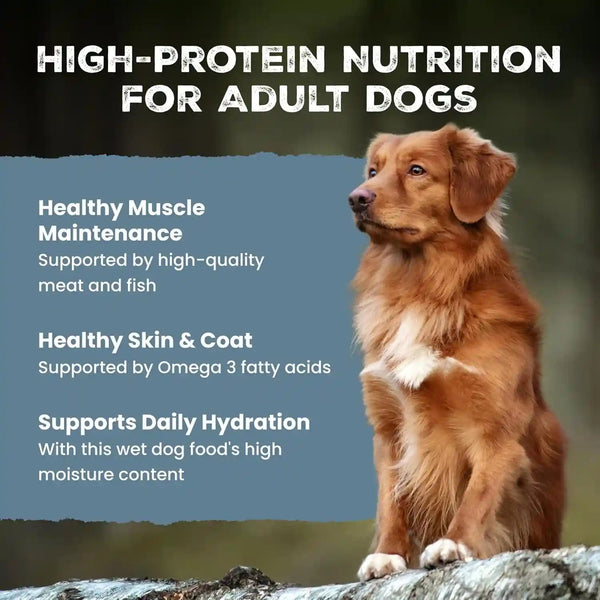 Blue Buffalo Wilderness Adult Wet Dog Food Variety Pack, Beef & Chicken Grill, 32G Protein, and Chicken & Salmon Grill, 35G Protein, Grain-Free & High-Protein, Natural, 12.5-Oz. Each (6 Cans)3
