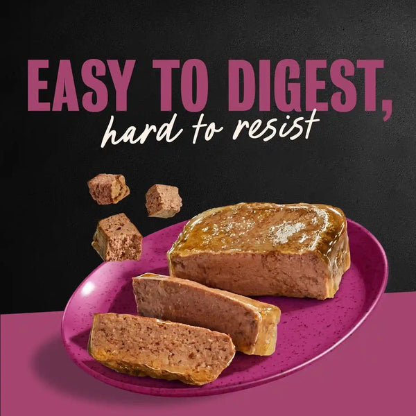 Cesar Wet Dog Food, Steak Lovers Variety Pack, 3.5 Oz, 36 Count | Real Meat #1 Ingredient, Easy Peel Trays, 100% Complete & Balanced, No Fillers, No Added Sugar, No Artificial Flavors12