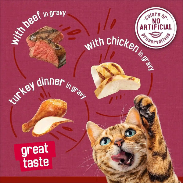 Purina Friskies Gravy Wet Cat Food Variety Pack, Prime Filets Meaty Favorites - (Pack of 24) 5.5 Oz. Cans5
